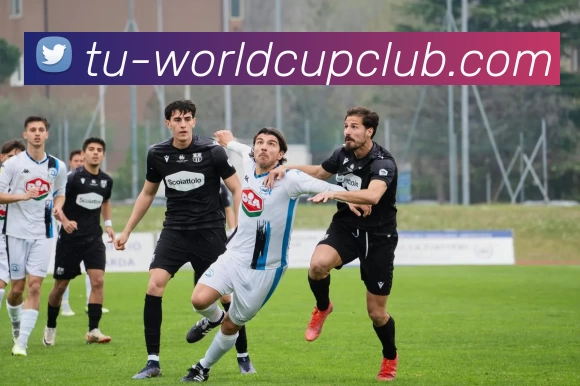 亚洲体育博彩平台平台生态图